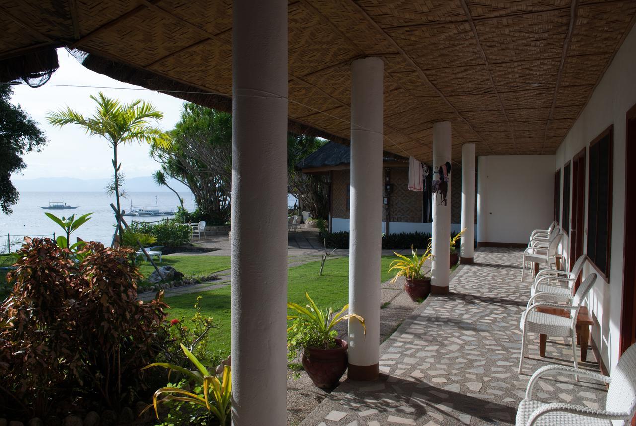 Quo Vadis Dive Resort Moalboal Exterior photo
